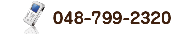 048-799-2320